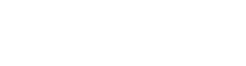 Logo Nau.ch weiss auf transparent, Format png